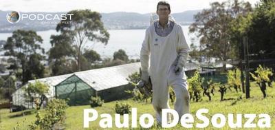 Find Your Feet Podcast, Paulo DeSouza, Bee population, health & wellbeing podcast